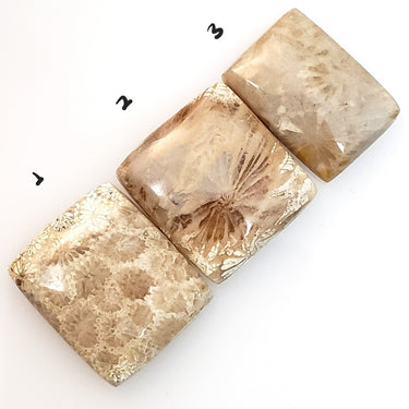Natural Agatized Cabochons Length range is 20  to 22mm